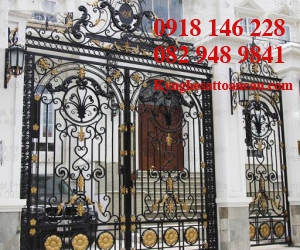 Cửa sắt mỹ thuật CCS025