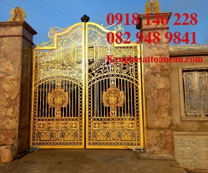 Cửa sắt mỹ thuật CCS024