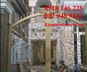 Cửa sắt mỹ thuật CCS035