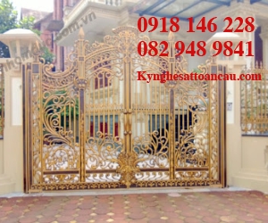 Cửa cổng nhôm đúc CN3