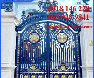 Cửa cổng sắt mỹ thuật CCS16