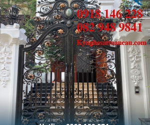 Cửa cổng sắt mỹ thuật CCS113