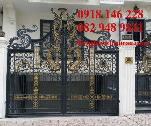 Cửa cổng sắt mỹ thuật CCS13